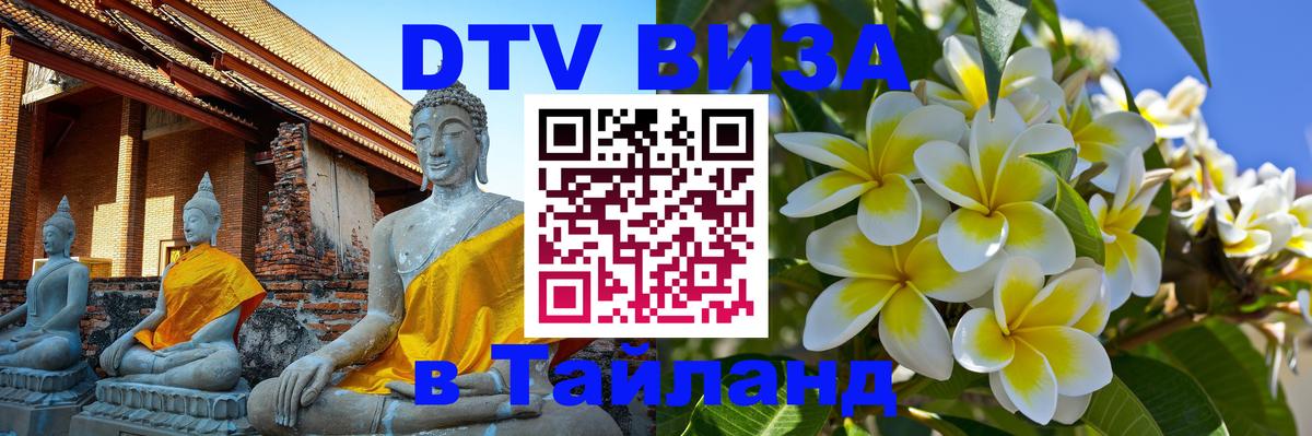 Оформление DTV визы под ключ: стоимость и тарифы, только загранпаспорт - 20.11.2025 